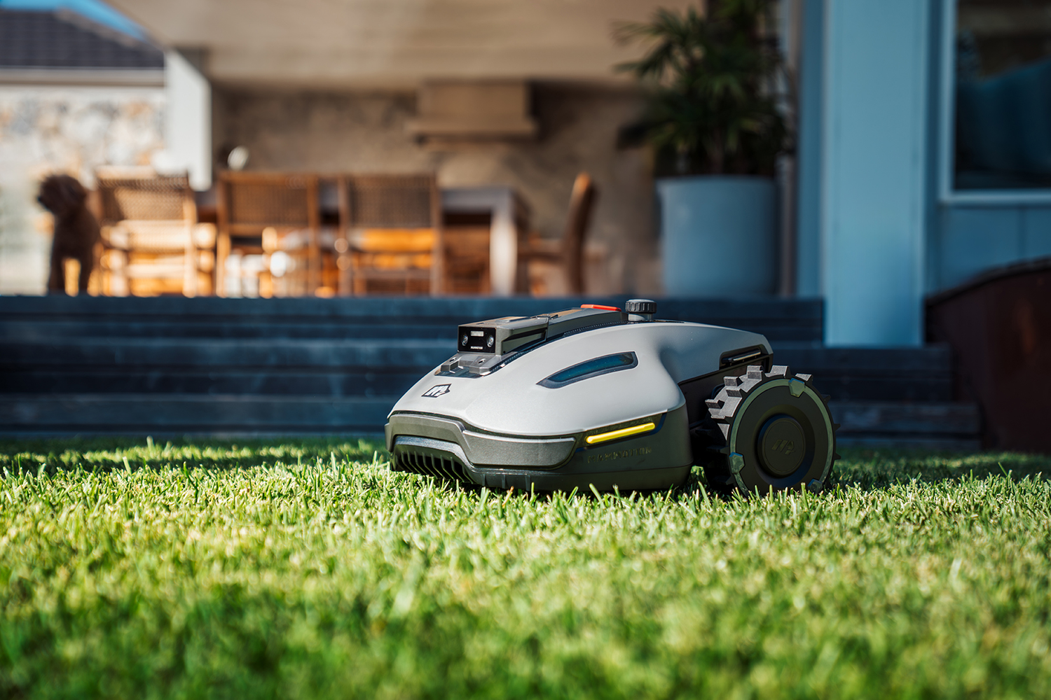 What Are the Negatives of Robotic Lawn Mowers?