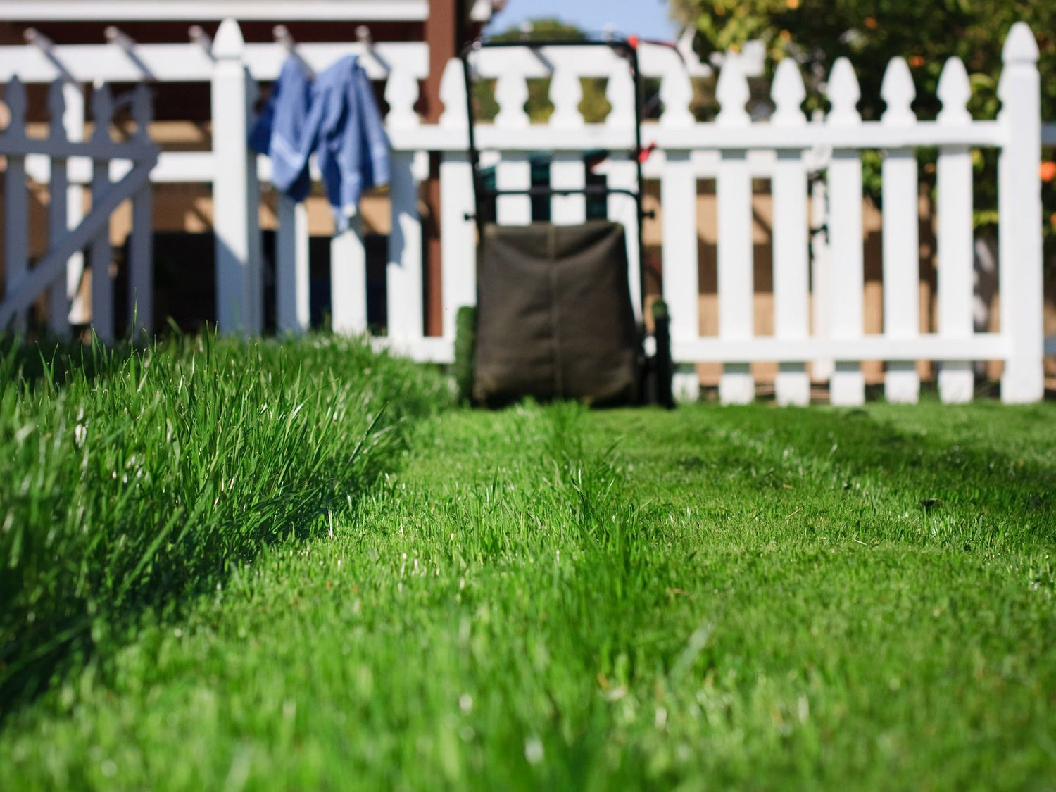 Spring Lawn Care Steps in Canada 2025