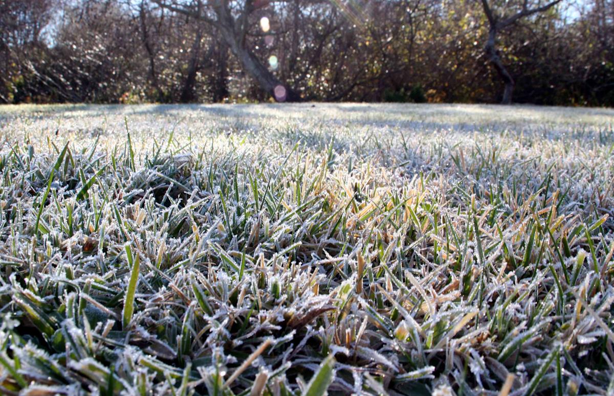 Winter Lawn Care in Canada: Expert Tips for a Healthy Spring Comeback