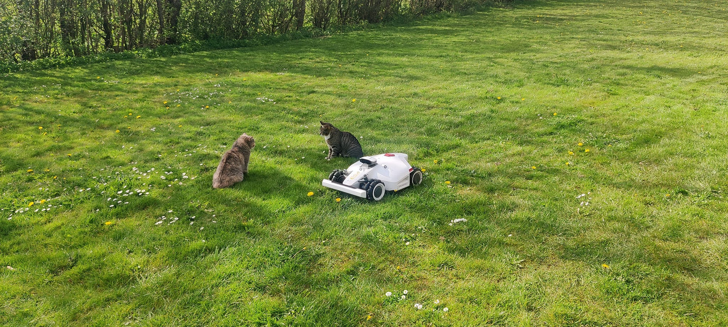 How to Measure Your Lawn Accurately | Mammotion Lawn Sizer Guide