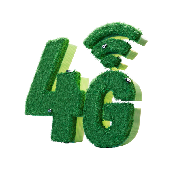 MAMMOTION 4G Service