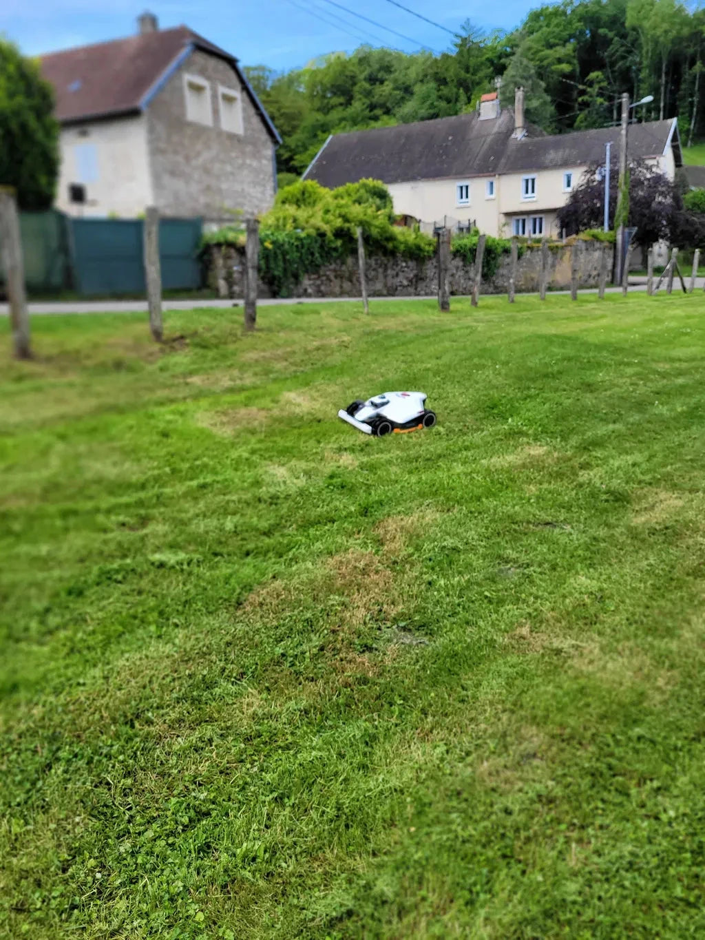 LUBA on a lawn