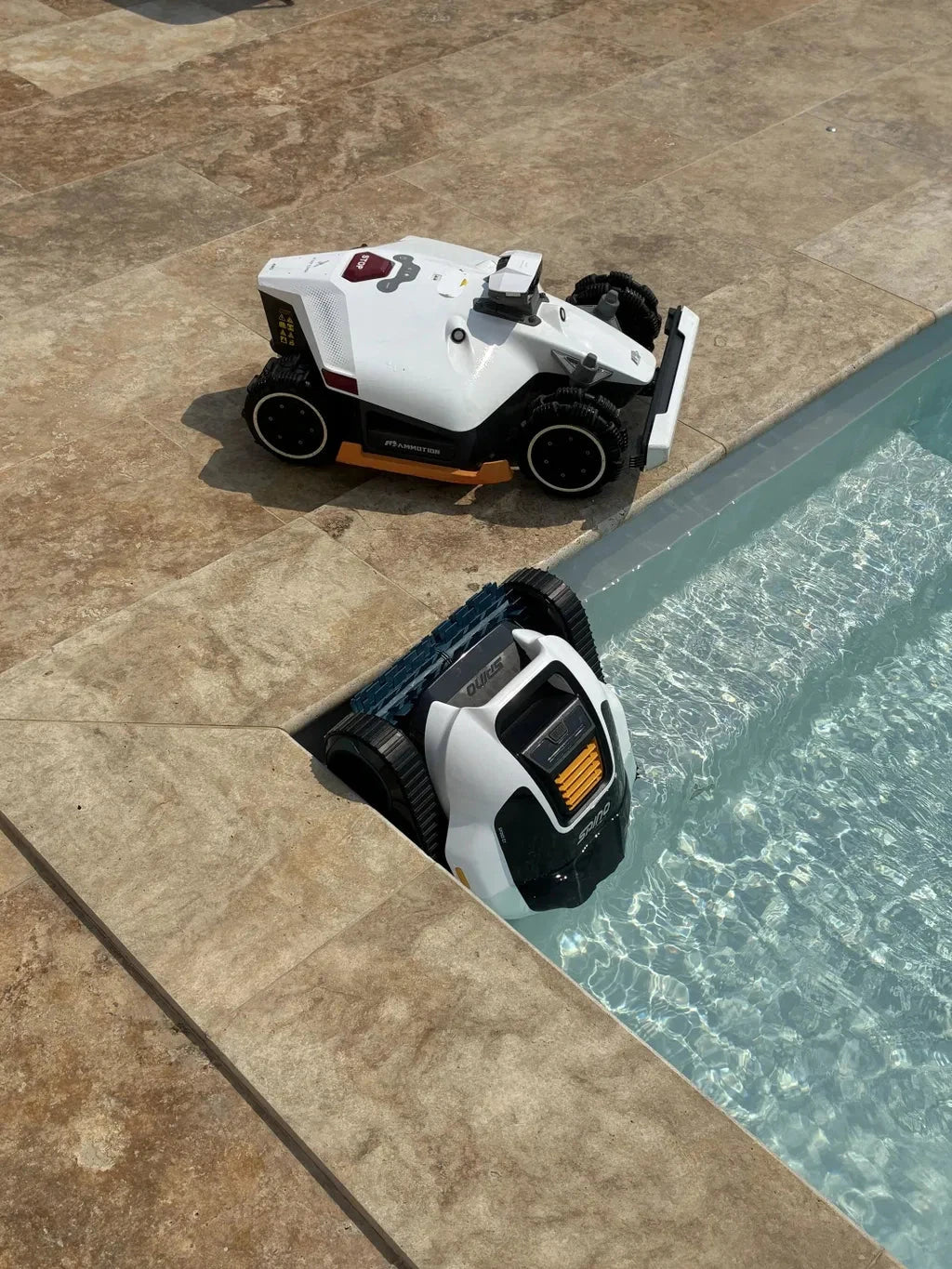 SPINO E1 in a backyard pool and LUBA on the ground